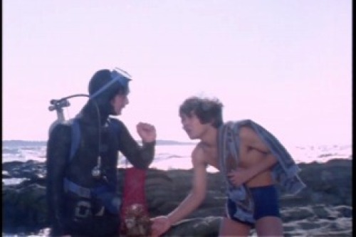PDVD_001.jpg