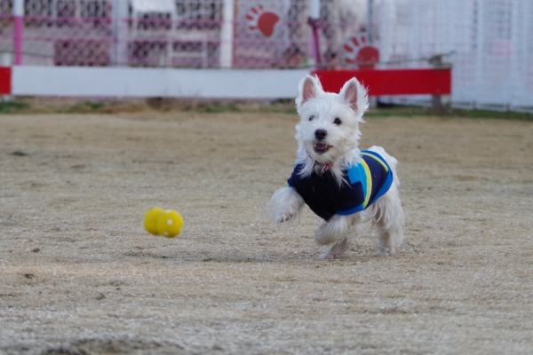 IMGP0271.jpg