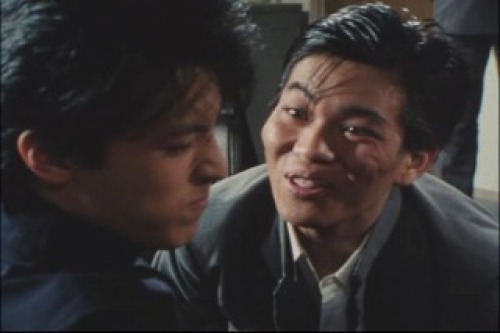 PDVD_011.jpg