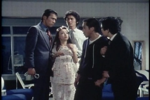 PDVD_028.jpg