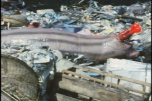 PDVD_019.jpg