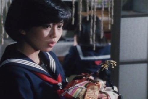 PDVD_026.jpg