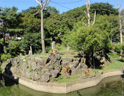 シャボテン34.jpg