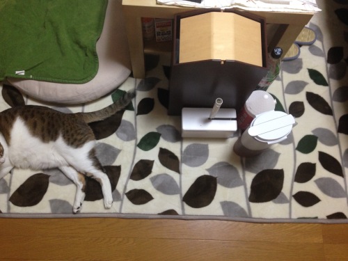 201411291523_4653_iphone.jpg
