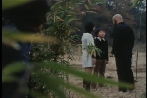 PDVD_026.jpg