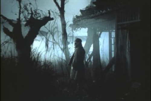 PDVD_052.jpg