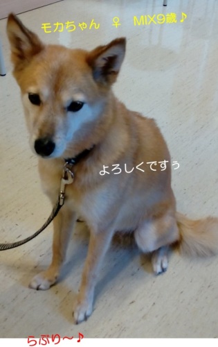 20150704_4.jpg