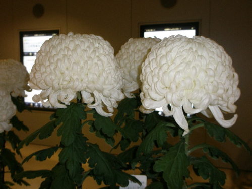 PB020014.JPG
