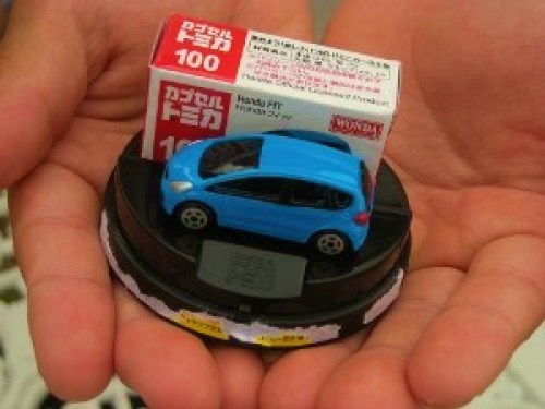 DSCN9018 (300x225).jpg