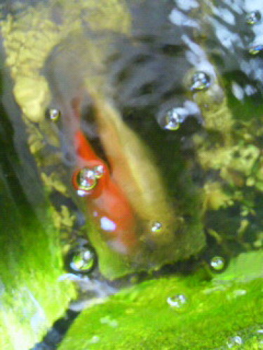 P1002790.jpg