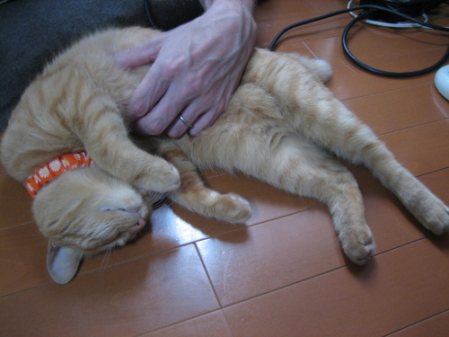 August 25, 2013(4)(V.2013_08_31__07_10_17).jpg