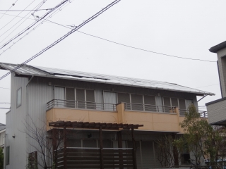DSC00051.jpg