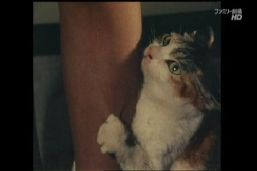 PDVD_013.jpg