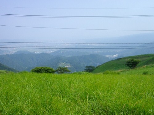 大野山山頂小田原 (500x376).jpg