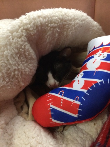 IMG_0642 - コピー.JPG