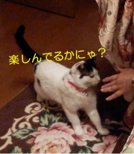 20140511_8.jpg