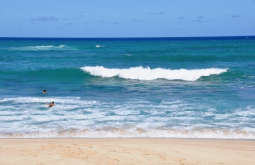 pict-カエナ 2.jpg