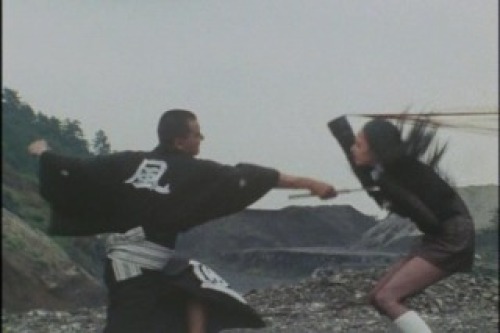 PDVD_030.jpg