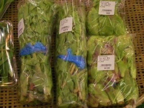 DSCN7514 (300x225).jpg