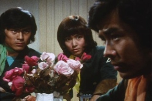 PDVD_006.jpg