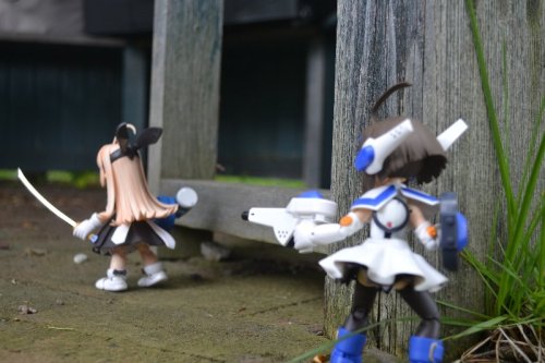 DSC_0213.jpg