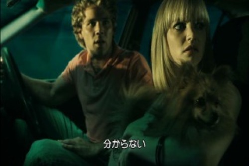 PDVD_005.jpg