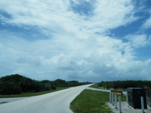 P8050321 (450x338).jpg