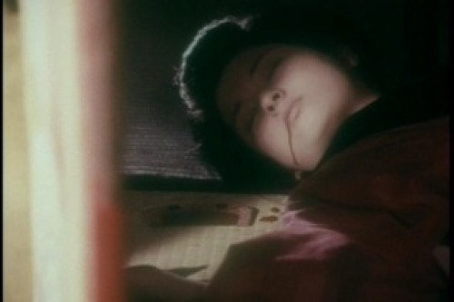 PDVD_003.jpg