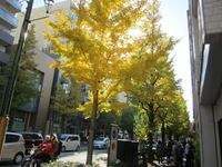 IMG_0008_R.JPG