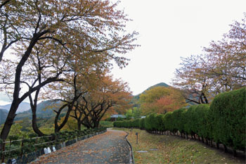 山寺10.jpg
