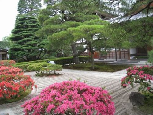 20130615銀閣寺２.jpg