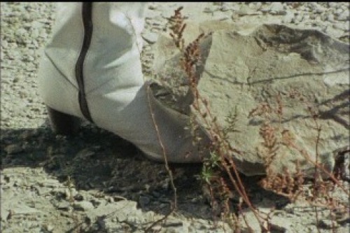 PDVD_033.jpg