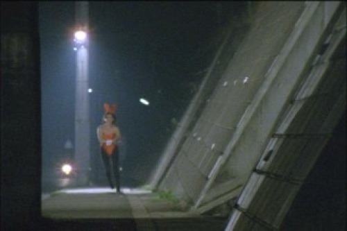 PDVD_266.jpg