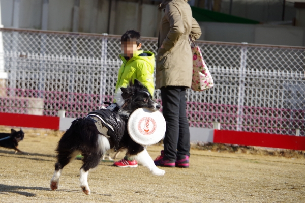 IMGP0016編集.jpg