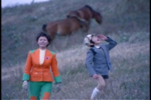 PDVD_002.jpg