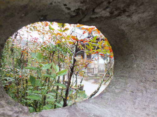 DSCF2561.JPG