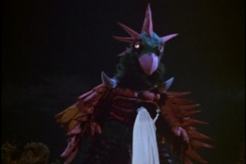 PDVD_031.jpg