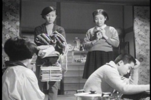 PDVD_016.jpg