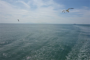 佐渡162.jpg
