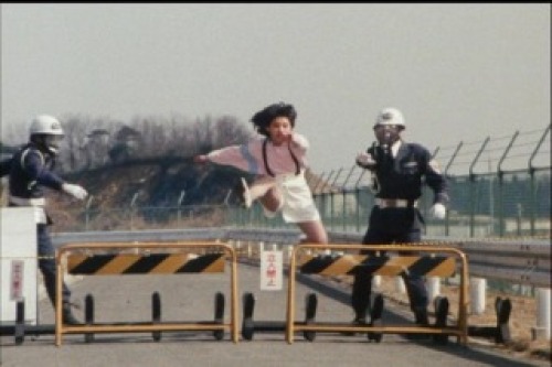 PDVD_026.jpg