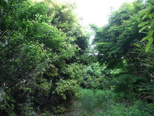R0014648_R.JPG