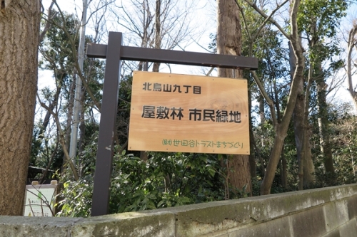 烏山屋敷林_002.JPG