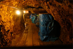 金山44.jpg