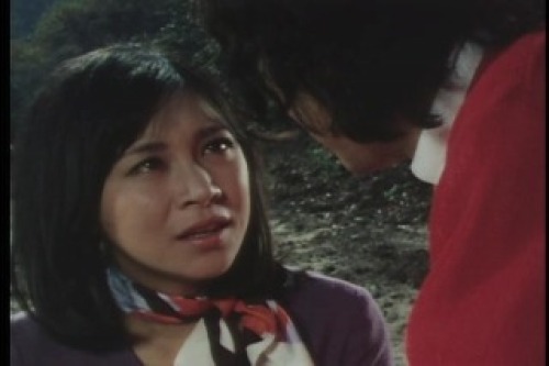 PDVD_060.jpg