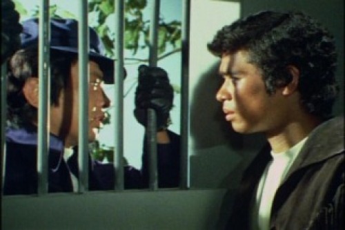 PDVD_016.jpg