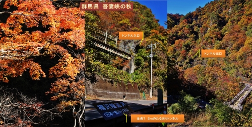 この秋最後の紅葉 吾妻峡と八ッ場ダム 群馬 としじんの つれづれ写真便り 楽天ブログ