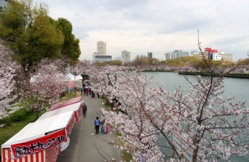 pict-大川桜宮橋　8.jpg