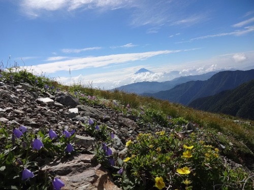 花と富士山.jpg