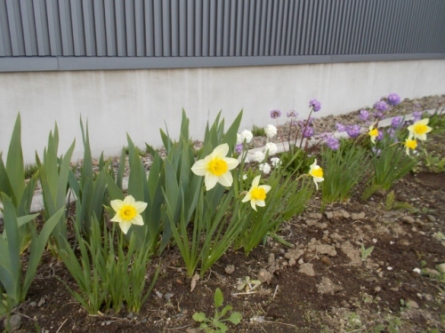 DSCN0326 (640x480).jpg