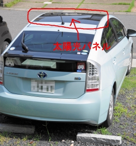 IMGP0827.jpg